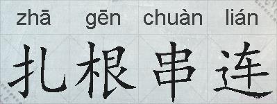 扎根串连的拼音