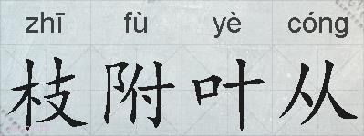枝附叶从的拼音
