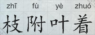 枝附叶着的拼音