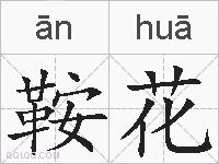 鞍花的拼音