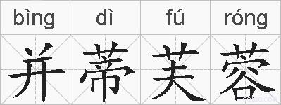 并蒂芙蓉的拼音