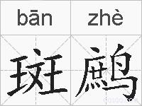 斑鹧是什么意思 拼音读音 词语解释 斑鹧的英文翻译 近义词 反义词 斑鹧的相关成语词语诗词名人明星