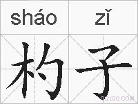 杓子的拼音