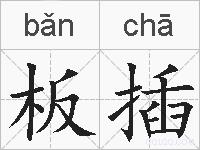 板插的拼音