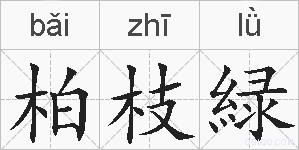 柏枝緑的拼音