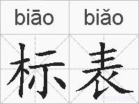 标表的拼音