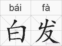 白发的拼音