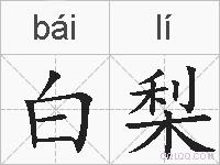 白梨的拼音