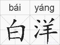 白洋的拼音