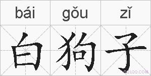 白狗子的拼音