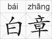 白章的拼音