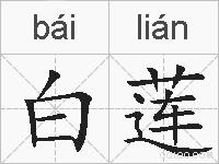 白莲的拼音