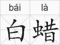 白蜡的拼音