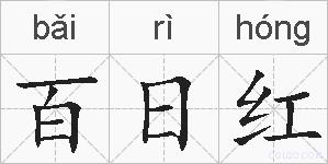百日红的拼音