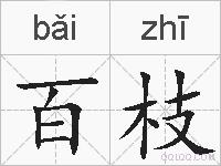 百枝的拼音
