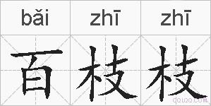 百枝枝的拼音