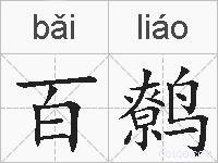 百鹩的拼音