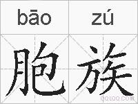 胞族的拼音