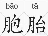 胞胎的拼音