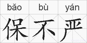 保不严的拼音