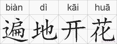 遍地开花的拼音