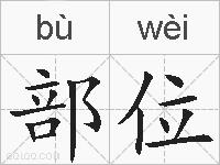 部位的拼音