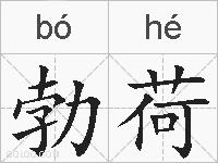勃荷的拼音