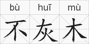 不灰木的拼音