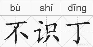 不识丁的拼音