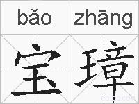 宝璋的拼音
