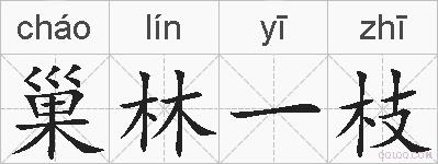巢林一枝的拼音