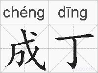成丁的拼音