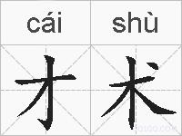 才术的拼音