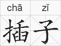 插子的拼音