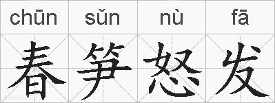 春笋怒发的拼音
