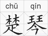 楚琴的拼音