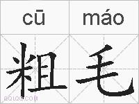 粗毛的拼音