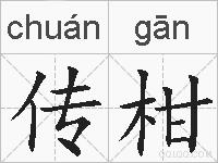 传柑的拼音