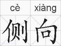 侧向的拼音