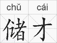 储才的拼音
