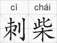 刺柴的拼音