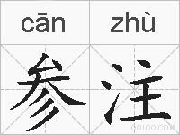 参注的拼音