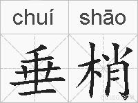 垂梢的拼音