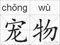 宠物的拼音