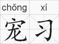 宠习的拼音