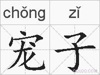 宠子的拼音