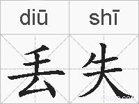 丢失的拼音