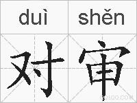 对审的拼音