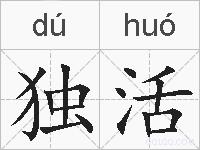独活是什么意思 拼音读音 词语解释 独活的英文翻译 近义词 反义词 独活的相关成语词语诗词名人明星