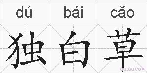 独白草的拼音
